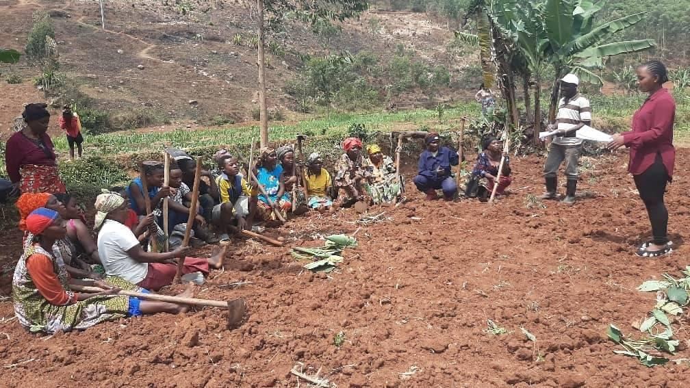 Farming community preparing land together