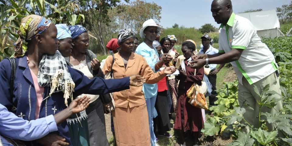 Avogrow field officer engaging a group of farmers during a community training session